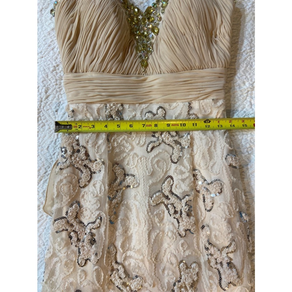 Vintage Aesthetic Lace Mermaid Gown - Sleeveless Ruffle Evening Dress - Champa - Picture 11 of 11